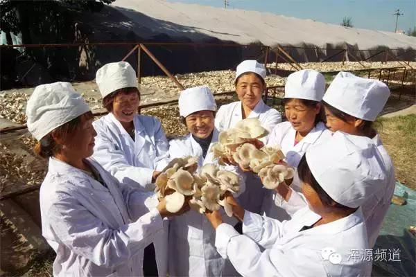 左崇香:二十载磨剑终有成