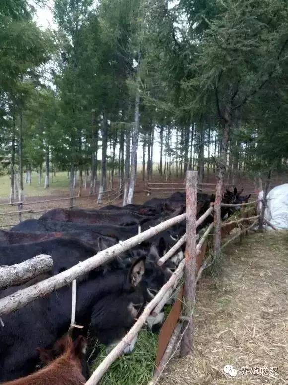 交流养殖经验找对方法很重要,交流养殖经验