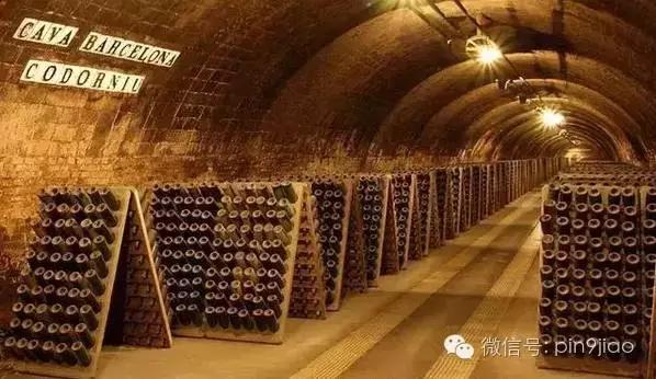 一生值得一去的地方,世界最好的酒窖