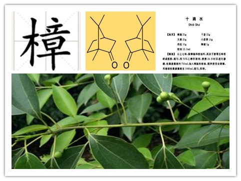 婴儿用十滴水洗澡有危害吗,儿童闻樟脑味有害吗