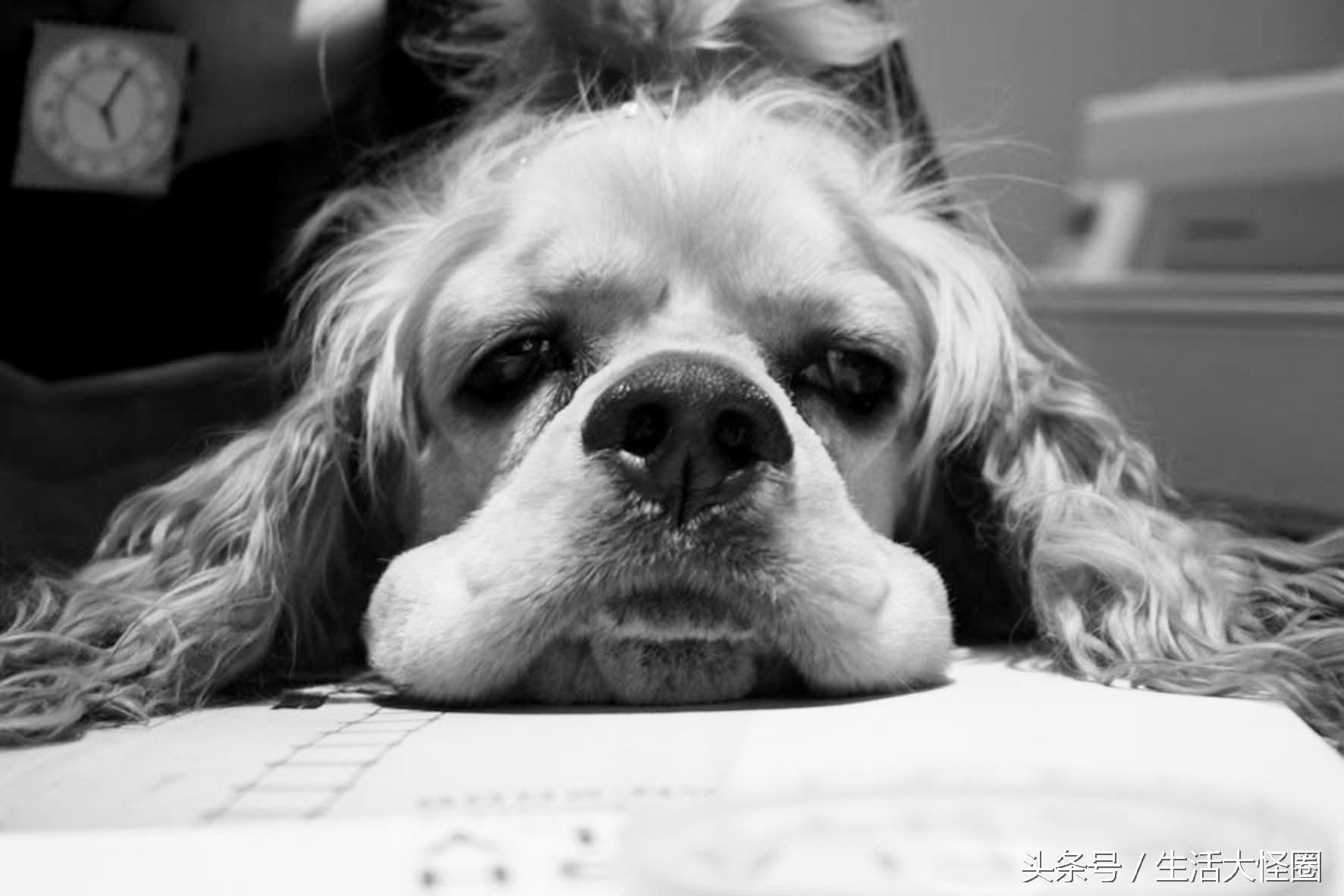 乔任梁抑郁症迹象,得了抑郁症去世的明星乔任梁