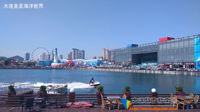 大王叫我来“巡街”:大连星海广场、星海公园、黑石礁