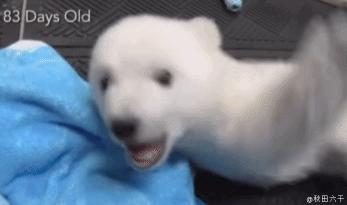 欧洲小孩训练足球,欧洲小孩玩足球