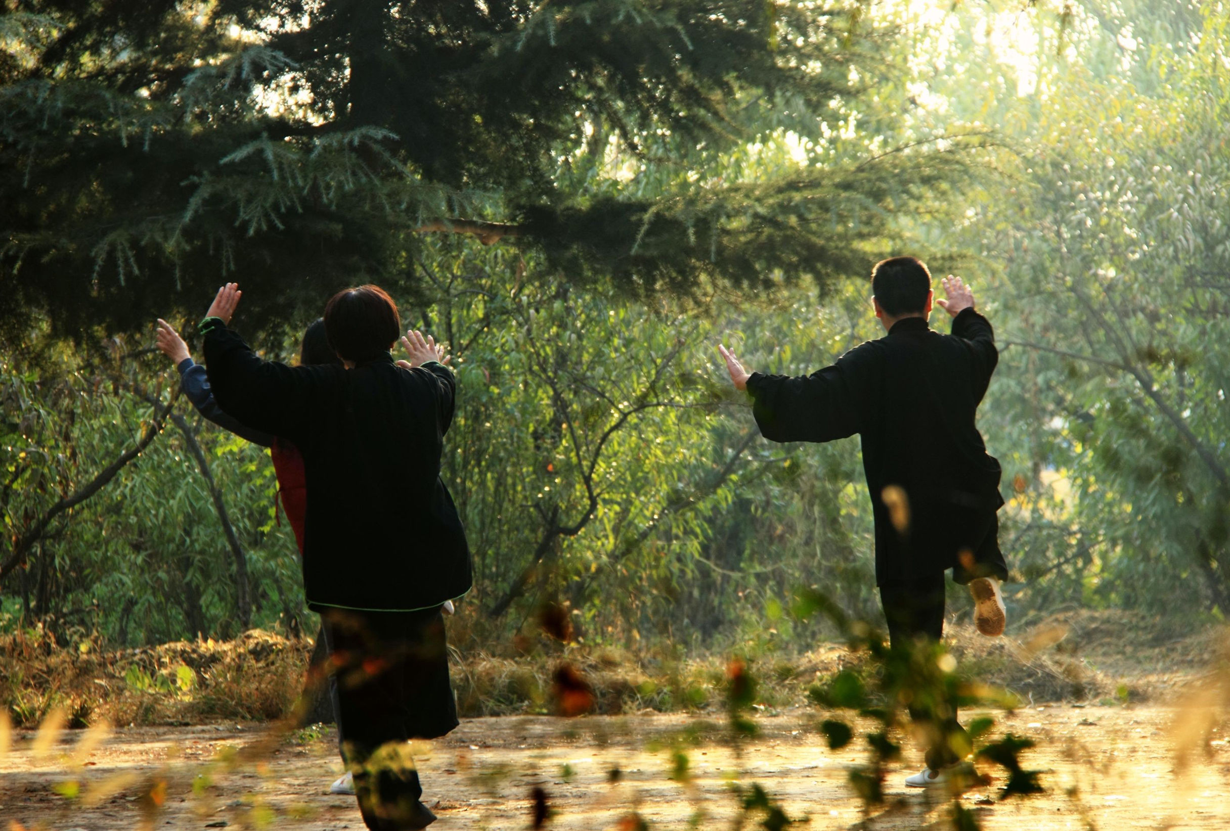 河南有什么拳,河南最凶狠拳种