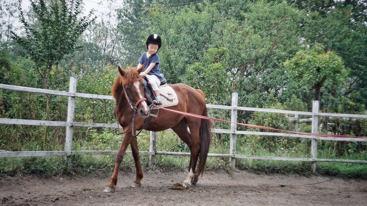 放慢脚步，带孩子住一晚农庄，骑一会儿马