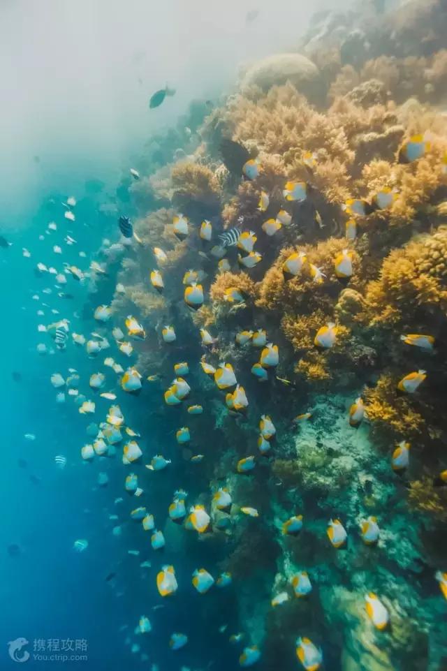 帕劳免签有必要去吗,帕劳对全世界免签吗