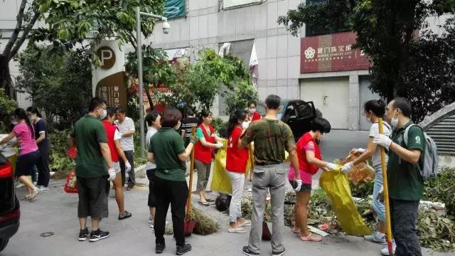 台风后的厦门值得一看,台风过后的厦门依然美丽