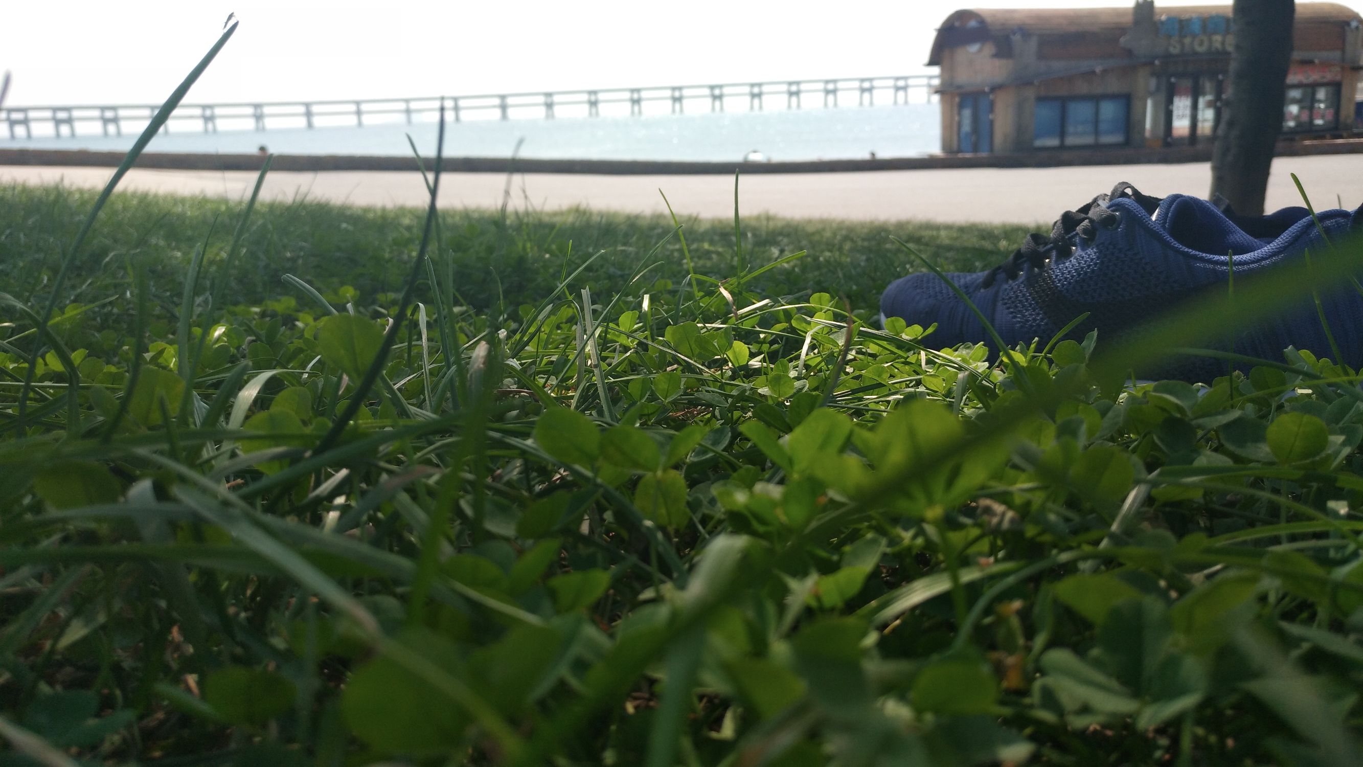 大王叫我来“巡街”:大连星海广场、星海公园、黑石礁