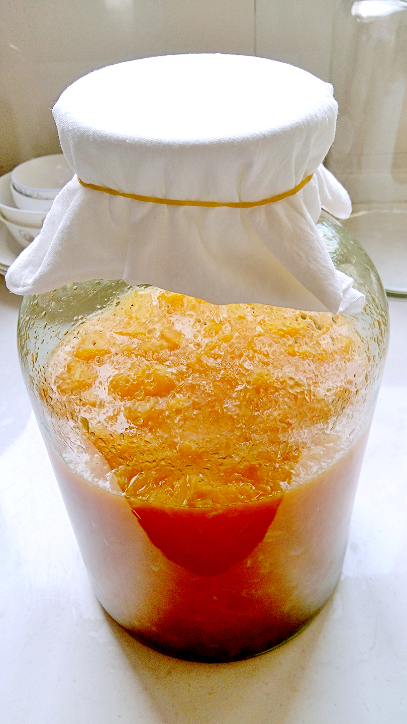 铅华洗尽岁月静好，来，喝了这杯再说吧！自酿酒集合