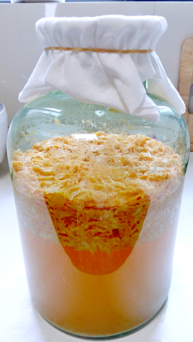 铅华洗尽岁月静好，来，喝了这杯再说吧！自酿酒集合