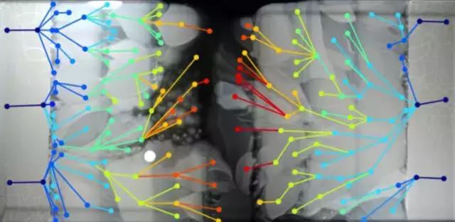 幸存者战争,幸存者之战最新全部章节在线阅读