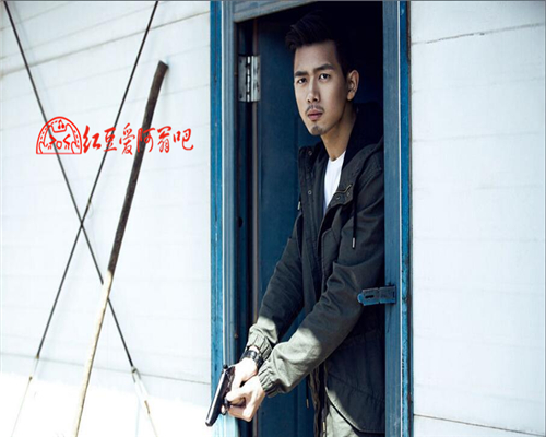 谁是IP之王盘点年度热门开拍影视剧