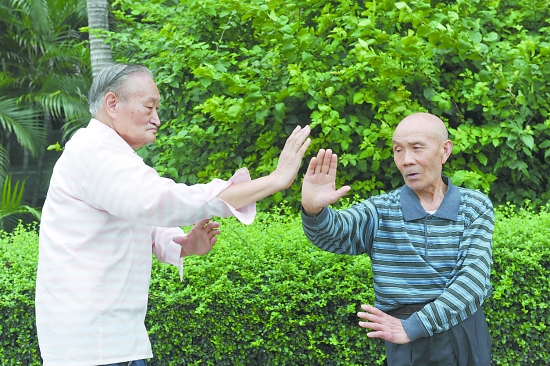 河南有什么拳,河南最凶狠拳种