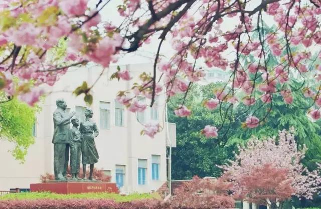 有一种情怀叫乡愁作文,有一种情怀叫乡愁