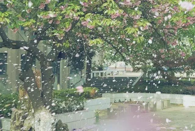 有一种情怀叫乡愁作文,有一种情怀叫乡愁