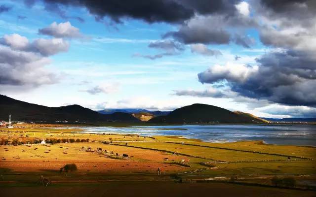 不需要知道你离世的理由，只愿你在天堂能重展笑容！