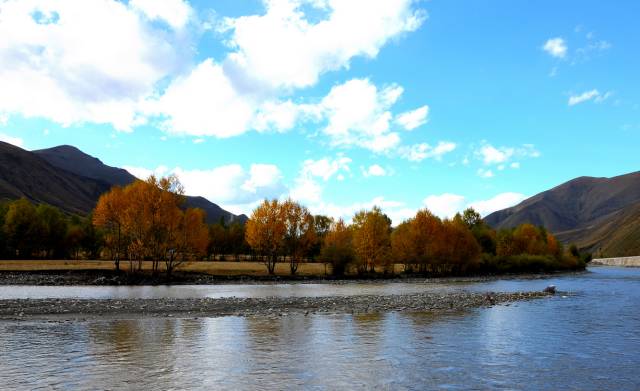 不需要知道你离世的理由，只愿你在天堂能重展笑容！