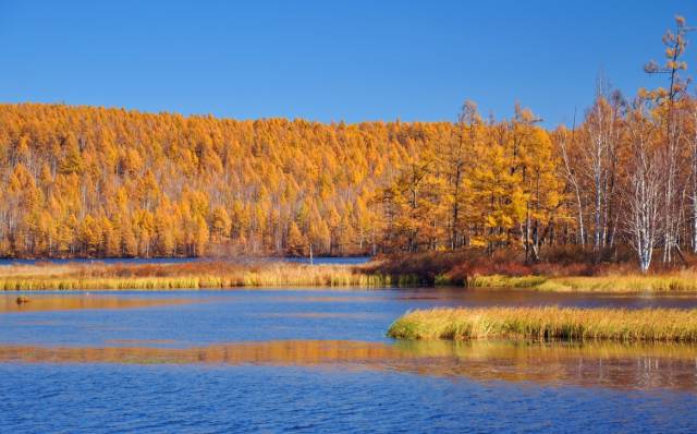 不需要知道你离世的理由，只愿你在天堂能重展笑容！