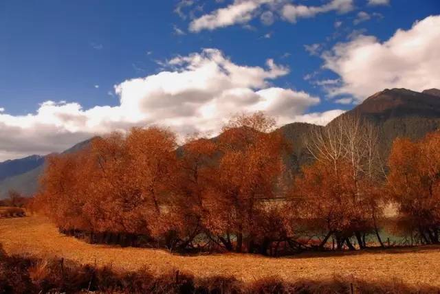 不需要知道你离世的理由，只愿你在天堂能重展笑容！