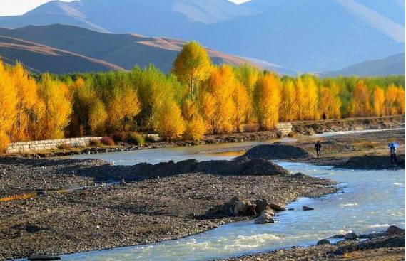 不需要知道你离世的理由，只愿你在天堂能重展笑容！