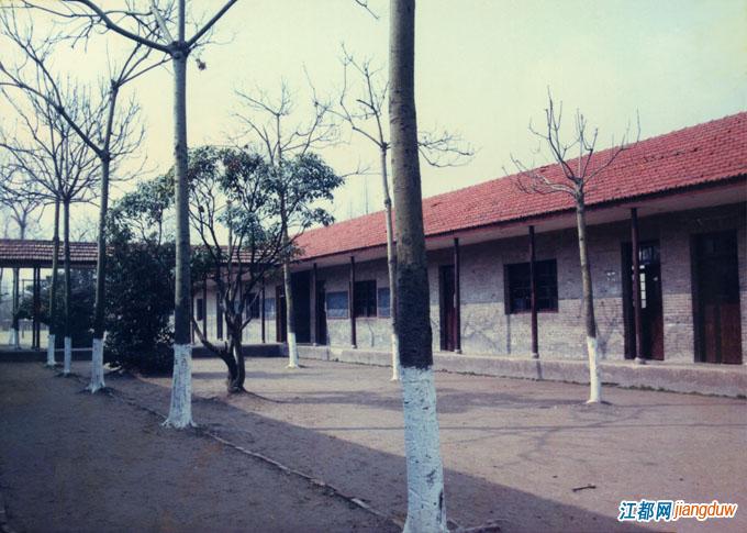 江都中学和大桥中学哪个好,那些年我们上过的历史课