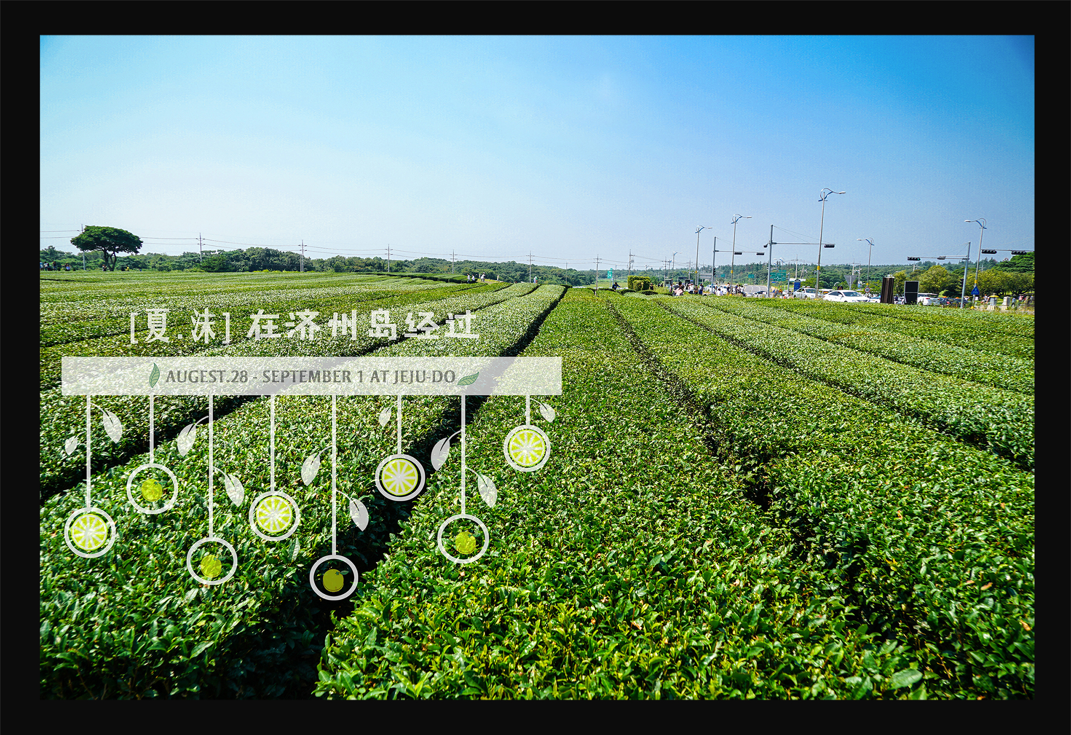 济州岛雨天旅行攻略视频,冬季济州岛亲子游详细攻略