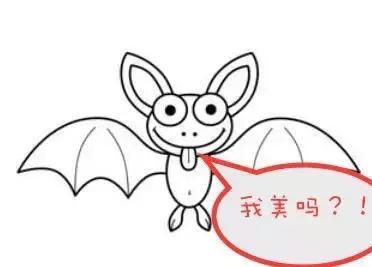 免费带你去旅游,毛里求斯特价旅游