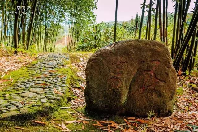 永安：抗战时期的省会，被遗忘的闽中古堡