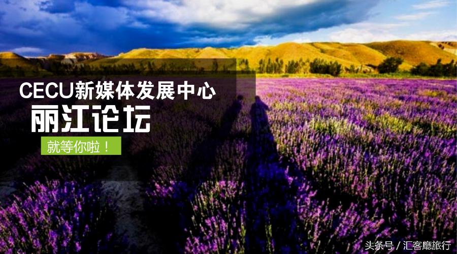 薰衣草花海一起享受大自然的美,薰衣草花海游