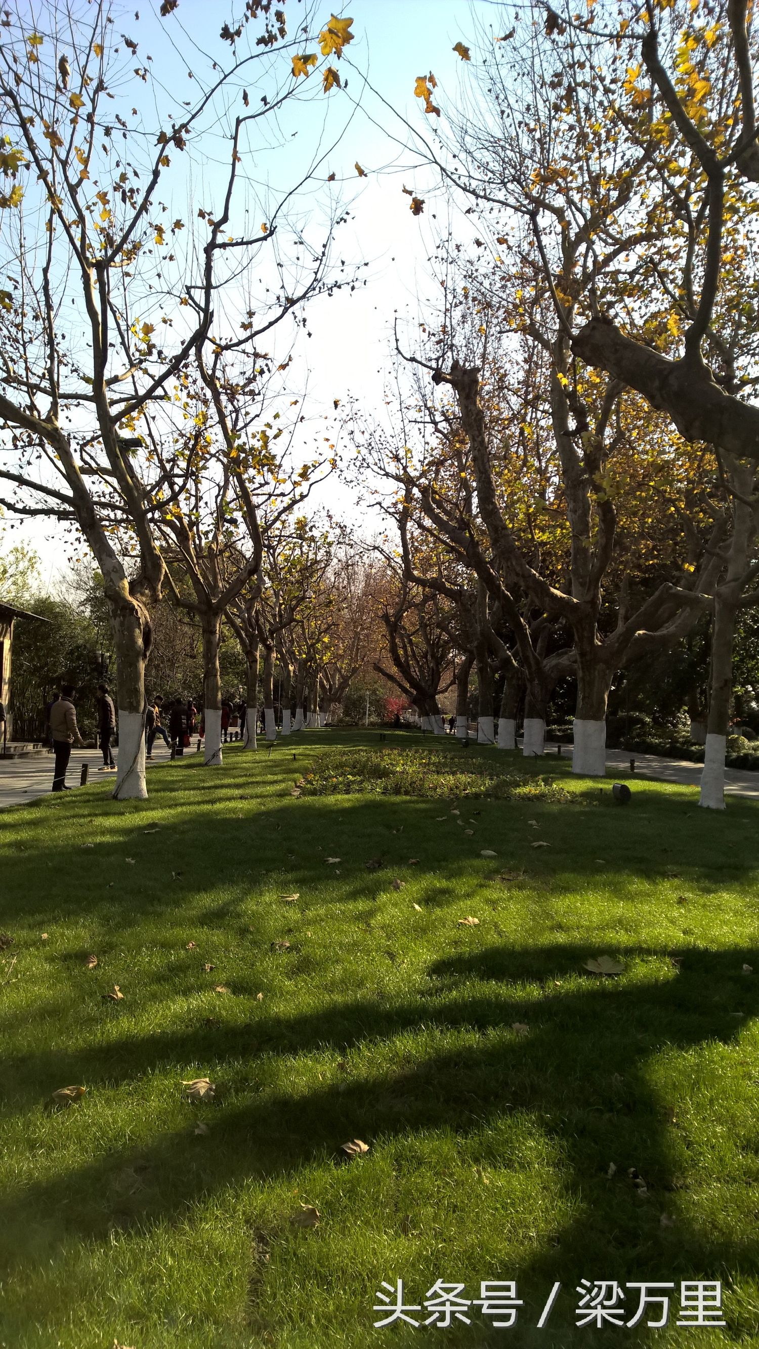 诺基亚lumia930测评,诺基亚lumia1020和930拍照对比