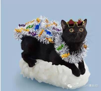 可爱猫咪戴着发箍,可爱的猫咪发箍