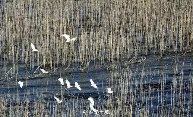 十堰新增公园,十堰国家森林公园图片