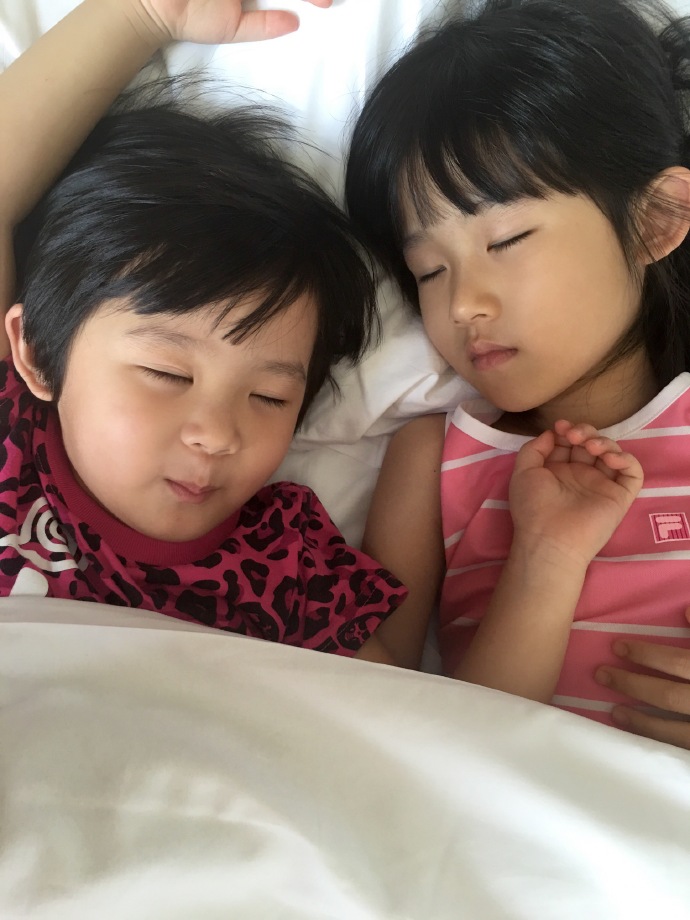 陆毅赵丽颖胭脂在一起了吗,赵丽颖和陆毅的胭脂