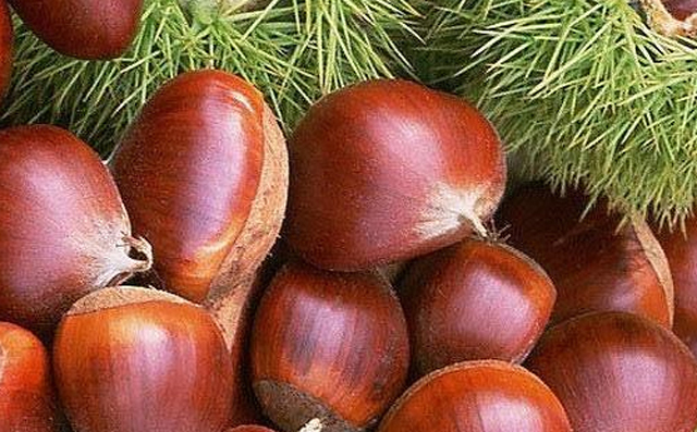 便秘不能吃什么东西呢,得了便秘该怎么办