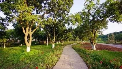 四川十大最黑景点,四川最土的景点