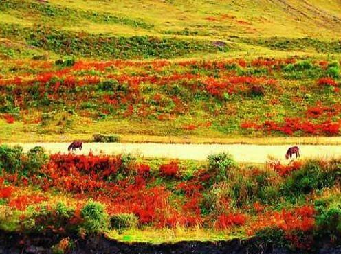 四川十大最黑景点,四川最土的景点