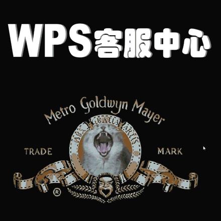 苹果电脑wps使用技巧大全入门级,wpsexcel办公技巧零基础