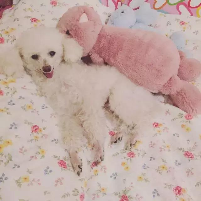 女生不会告诉你，送这样的礼物简直是通杀