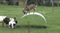 技能贴！教你如何和男朋友分手