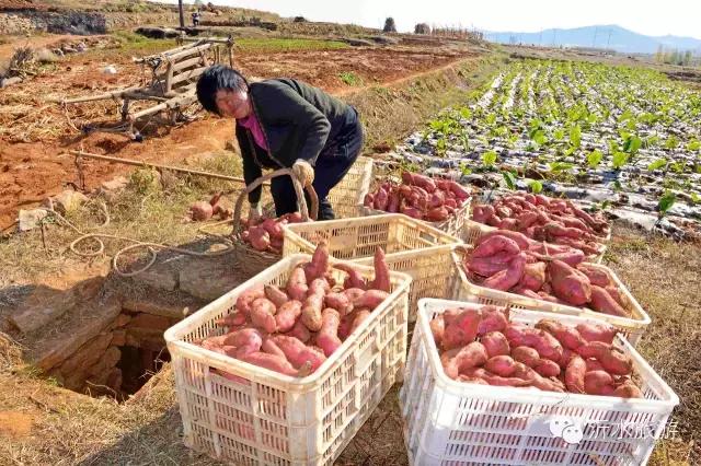 一个外地人眼中的菏泽,一个外地人眼中的文登
