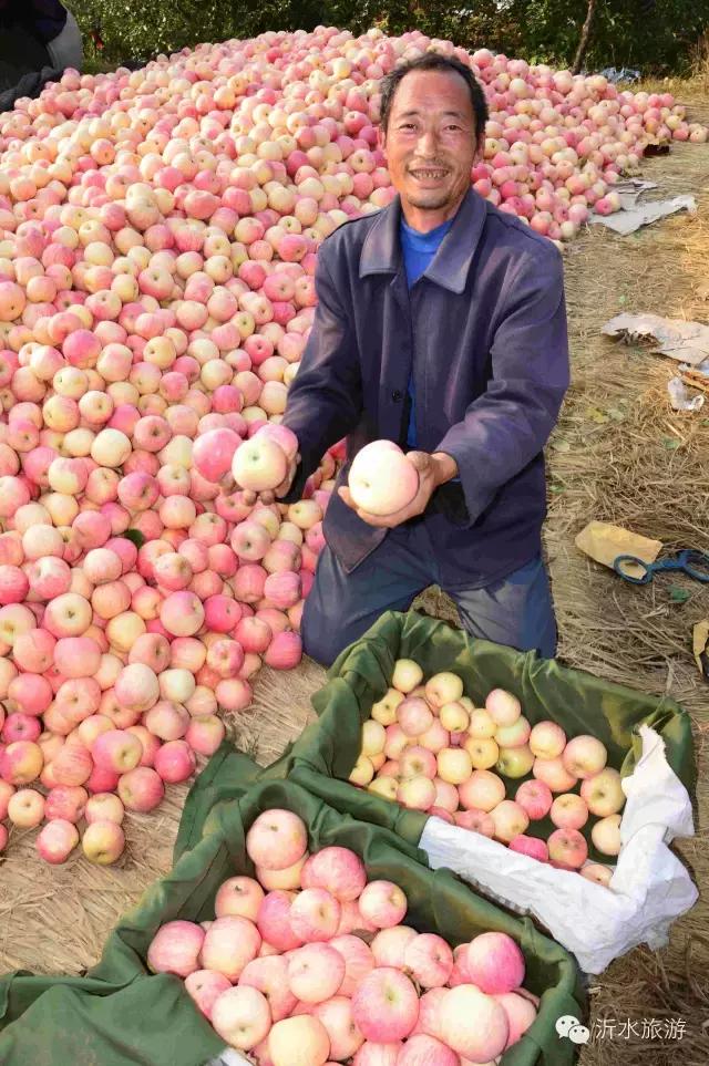 一个外地人眼中的菏泽,一个外地人眼中的文登