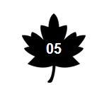 欢乐颂安迪是如何成为女强人的 (欢乐颂2安迪被撩)