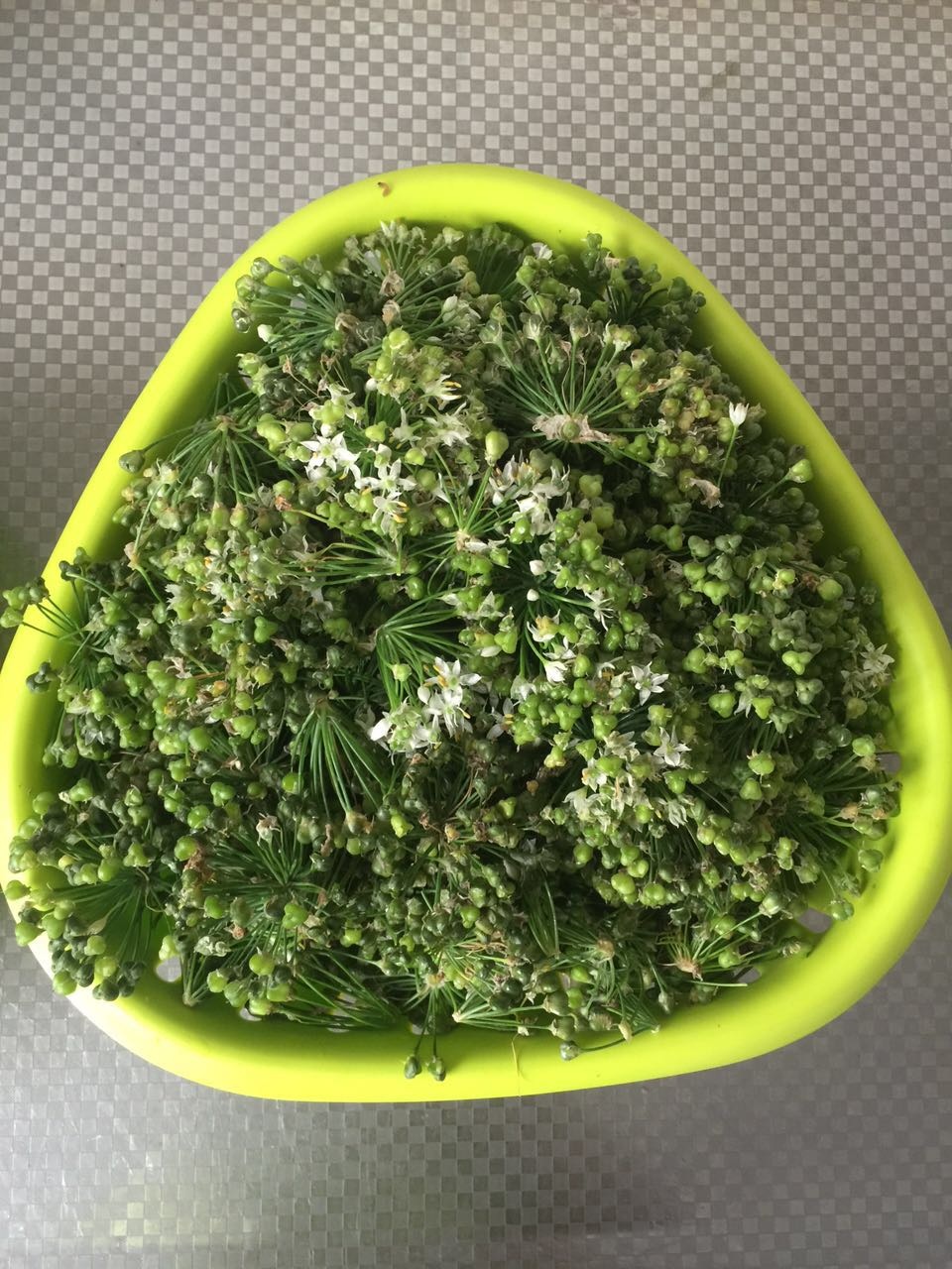 韭菜开的花,韭菜里面的花