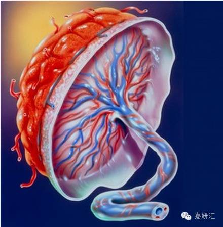 知道这5点你还会骂孩子吗,知道这10点才是真正的了解孩子