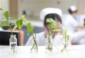 误服农药百草枯还有救吗？