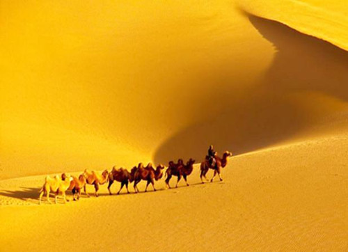 泰山添香--重拾古丝调之路，塑造今一带一路