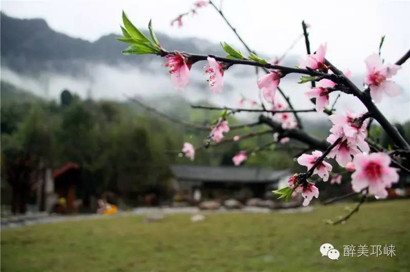 邛崃值得去的地方,邛崃好耍的风景区