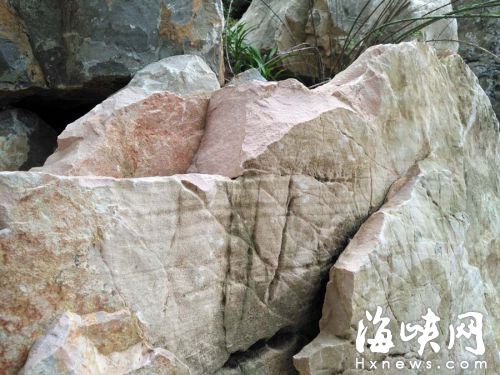 南太湖石价格,福建太湖石一般是多少钱一吨