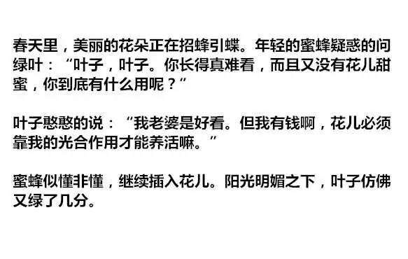 内涵笑话候鸟,内涵笑话与幽默段子短语