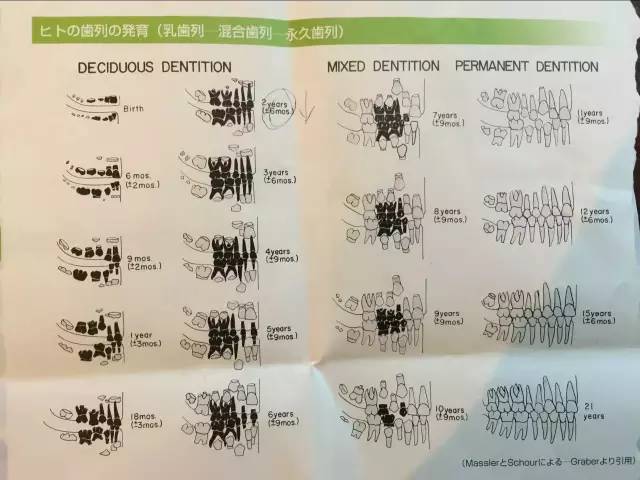 牙医爸爸帮小孩检查牙齿,儿童牙齿矫正父母必看